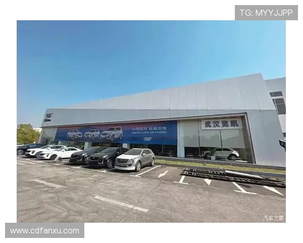 足球明星卡牌正版热潮来袭收藏你的偶像与荣耀瞬间