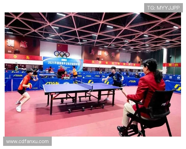 北京乒乓球队选拔赛技术表现分析与未来发展展望